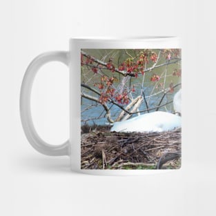 Mother Swan Mug